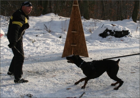 Training in USA 12/2007