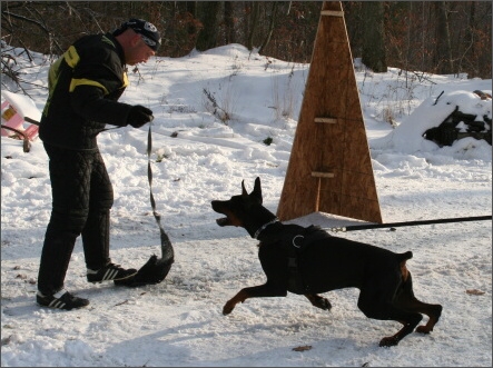 Training in USA 12/2007