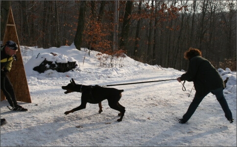 Training in USA 12/2007