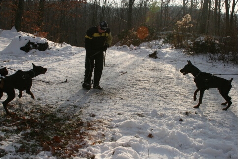 Training in USA 12/2007