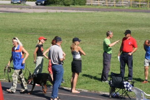 Estonian championship 2007 in IPO 3