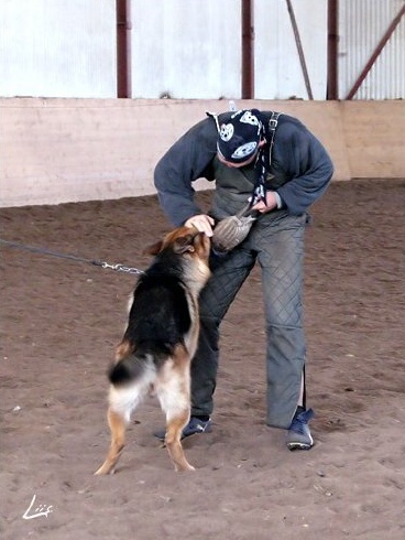 Training in Estonia 10/2006