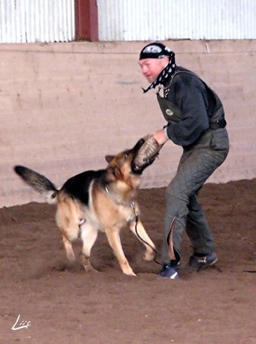 Training in Estonia 10/2006