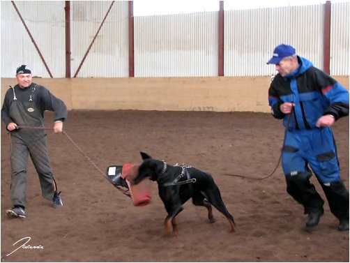 Training in Estonia 10/2006