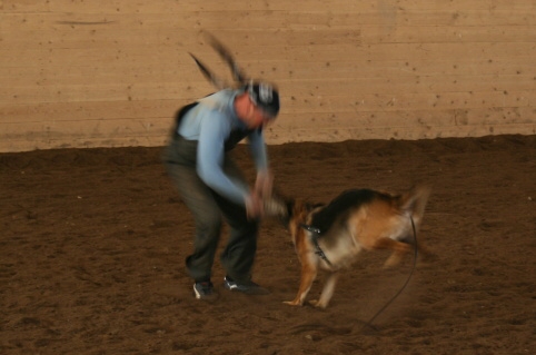 Training in Estonia 10/2006