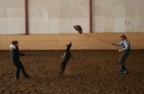 Training in Estonia 10/2006