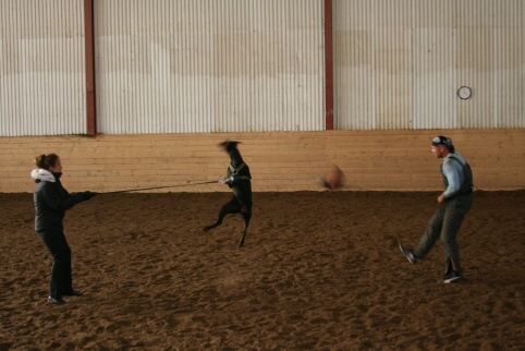 Training in Estonia 10/2006