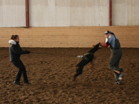 Training in Estonia 10/2006