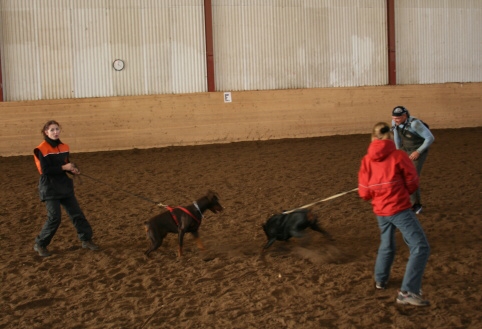 Training in Estonia 10/2006