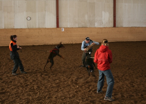 Training in Estonia 10/2006