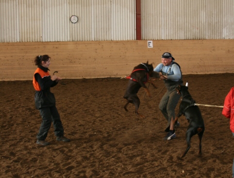 Training in Estonia 10/2006