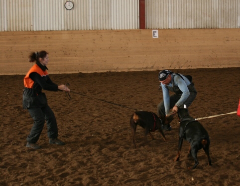 Training in Estonia 10/2006