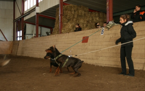 Training in Estonia 10/2006