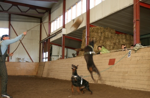 Training in Estonia 10/2006