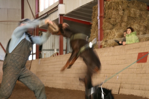 Training in Estonia 10/2006