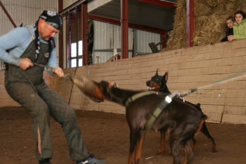 Training in Estonia 10/2006