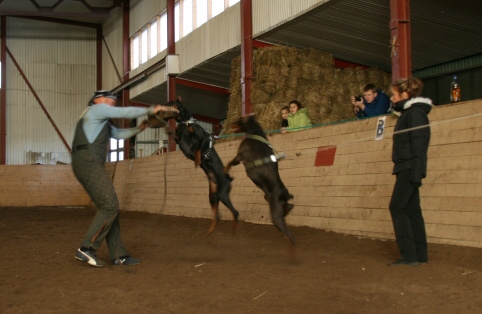 Training in Estonia 10/2006