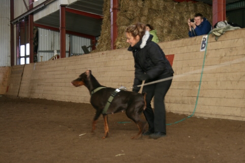 Training in Estonia 10/2006