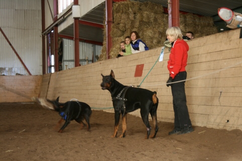 Training in Estonia 10/2006