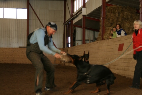 Training in Estonia 10/2006