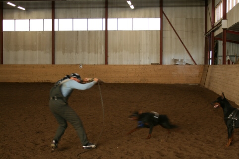 Training in Estonia 10/2006