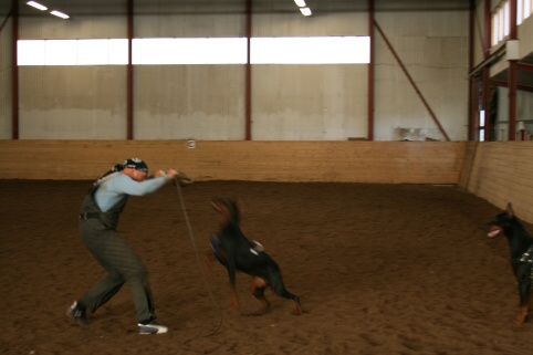 Training in Estonia 10/2006