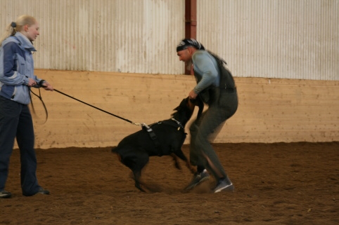 Training in Estonia 10/2006