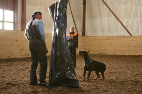 Training in Estonia 10/2006