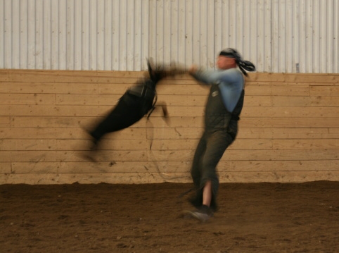 Training in Estonia 10/2006