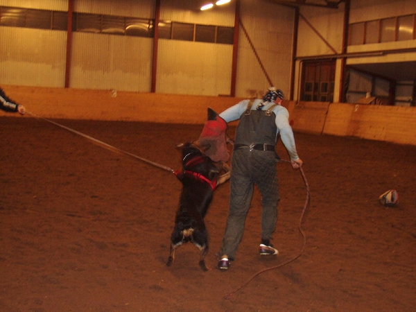 Training in Estonia 10/2006