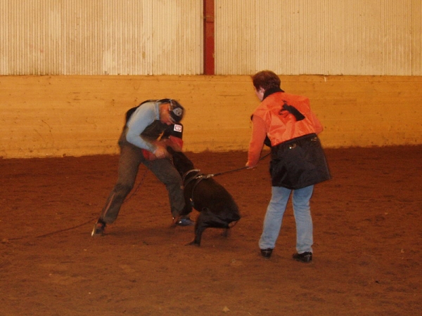 Training in Estonia 10/2006