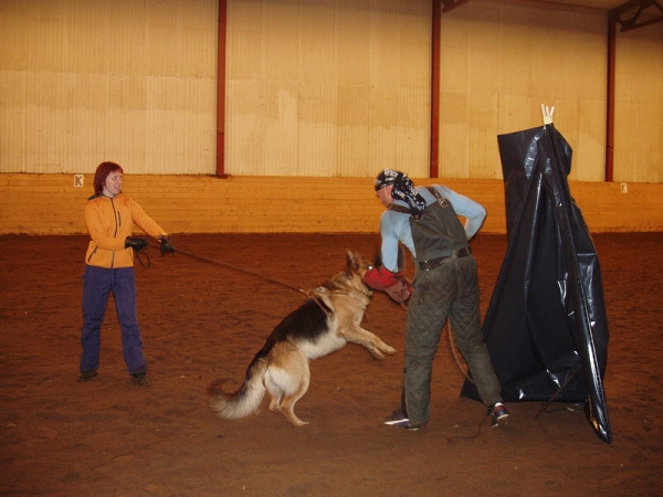 Training in Estonia 10/2006