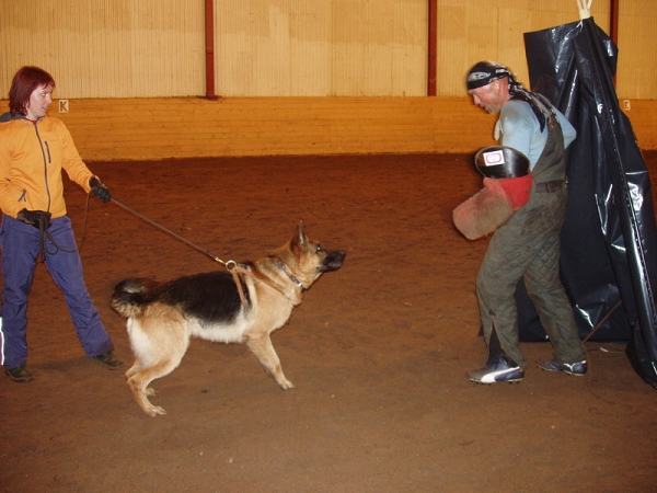 Training in Estonia 10/2006