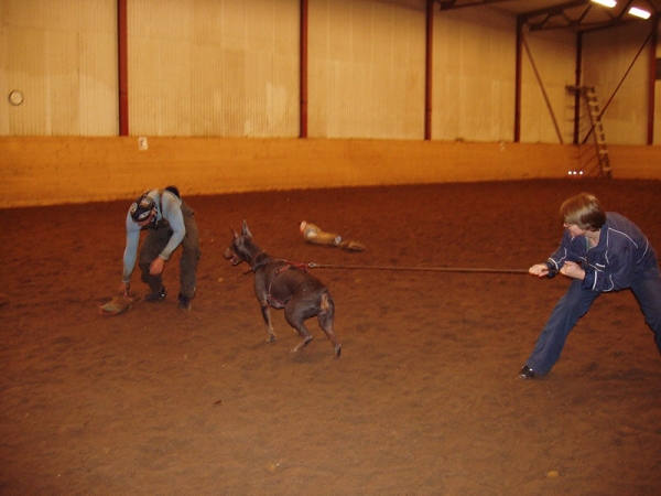 Training in Estonia 10/2006