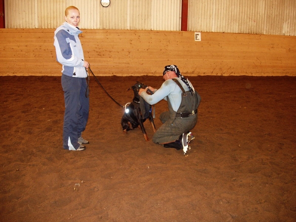 Training in Estonia 10/2006