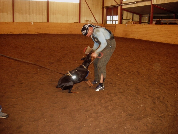 Training in Estonia 10/2006