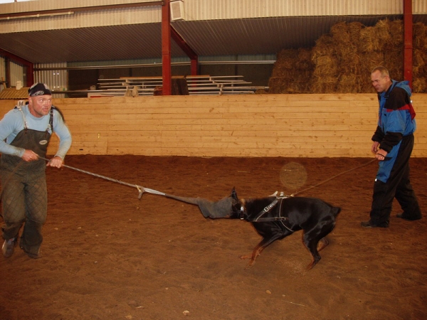 Training in Estonia 10/2006