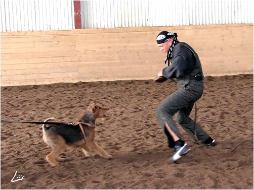 Training in Estonia 10/2006