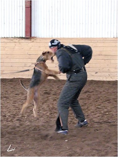 Training in Estonia 10/2006