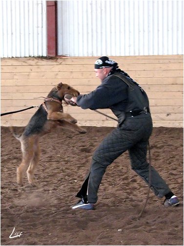 Training in Estonia 10/2006