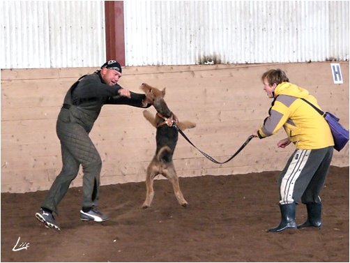 Training in Estonia 10/2006