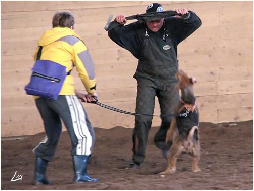 Training in Estonia 10/2006