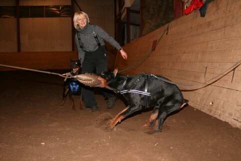 Training in Estonia 12/2006