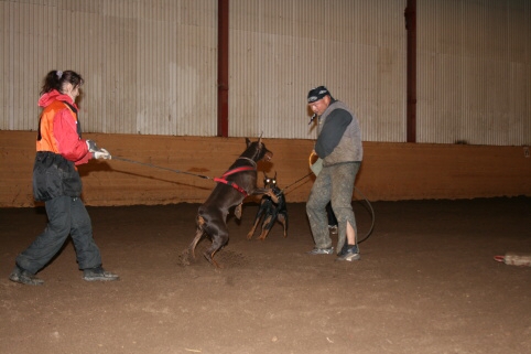 Training in Estonia 12/2006