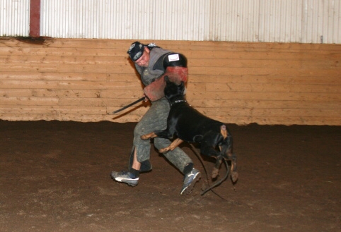 Training in Estonia 12/2006