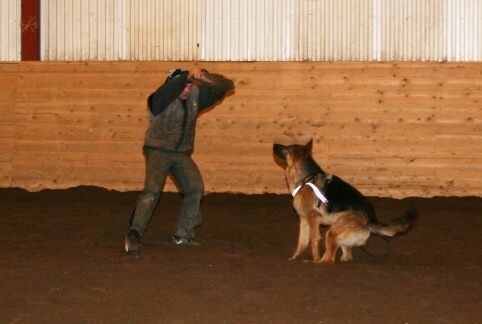 Training in Estonia 12/2006