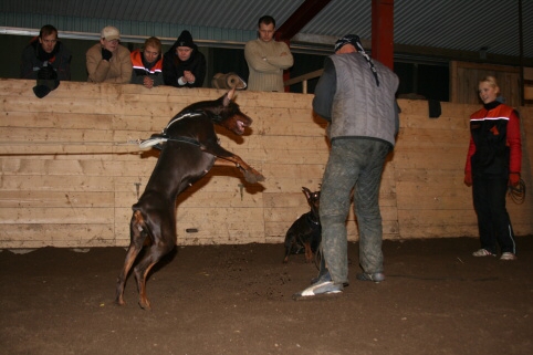 Training in Estonia 12/2006