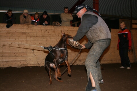 Training in Estonia 12/2006