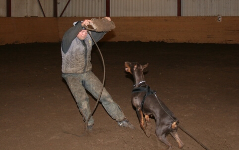 Training in Estonia 12/2006