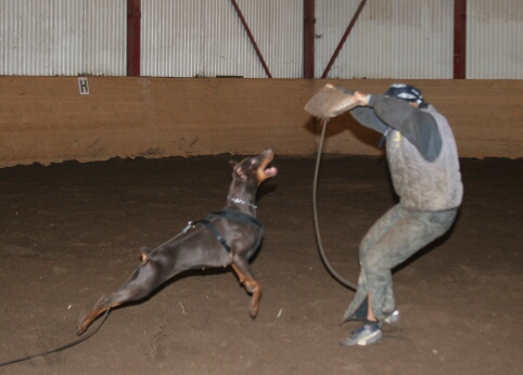 Training in Estonia 12/2006